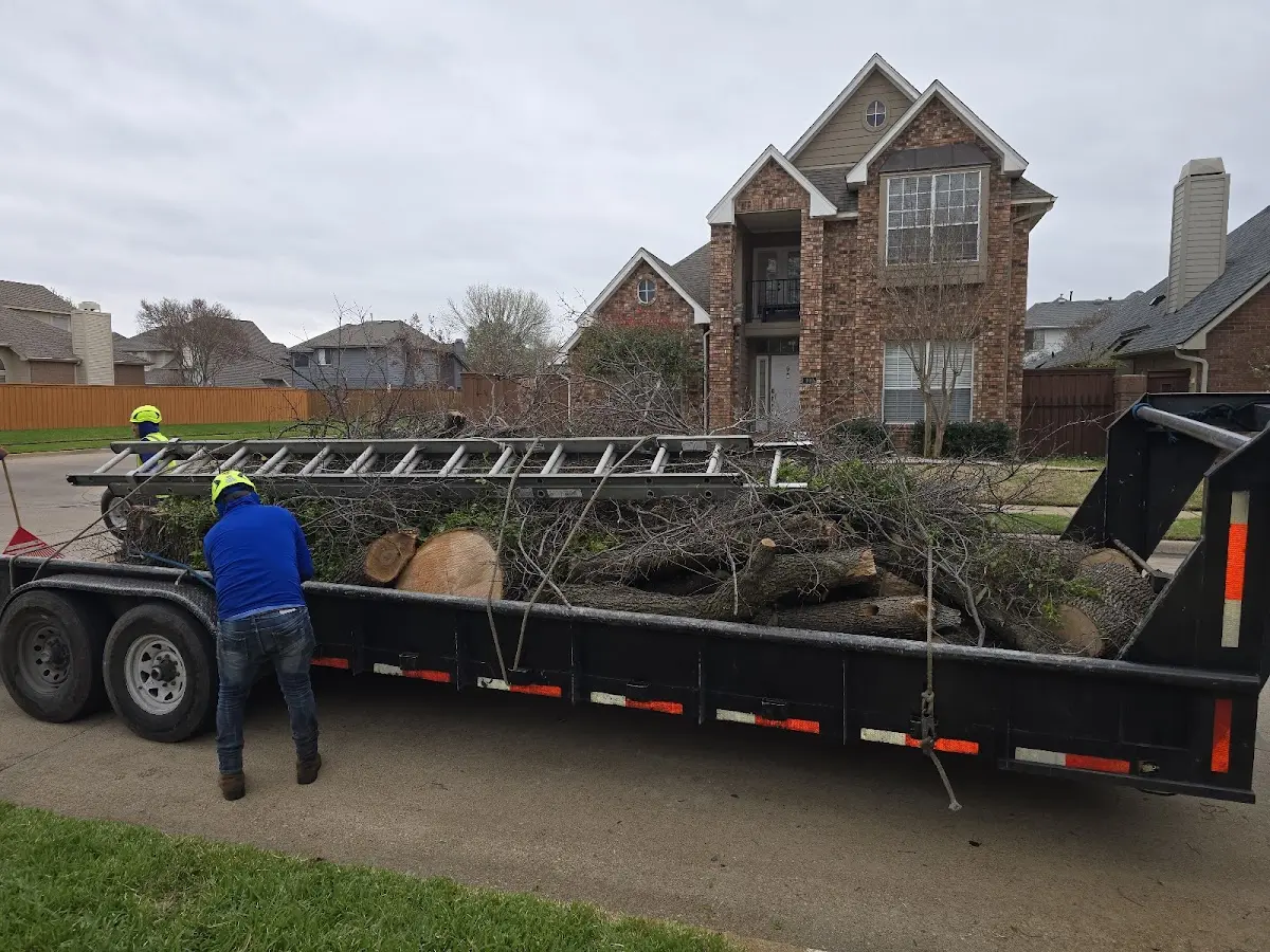 Expert Tree Pest Control with proper safety equipment in Greensburg